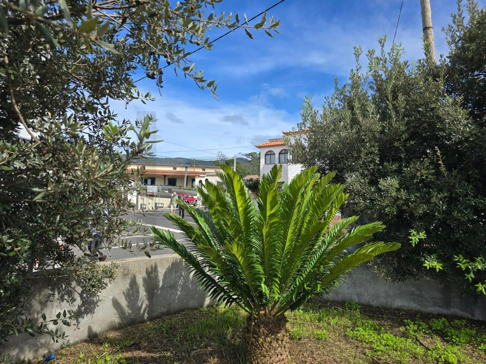Terreno para Venda em Prazeres Foto 32