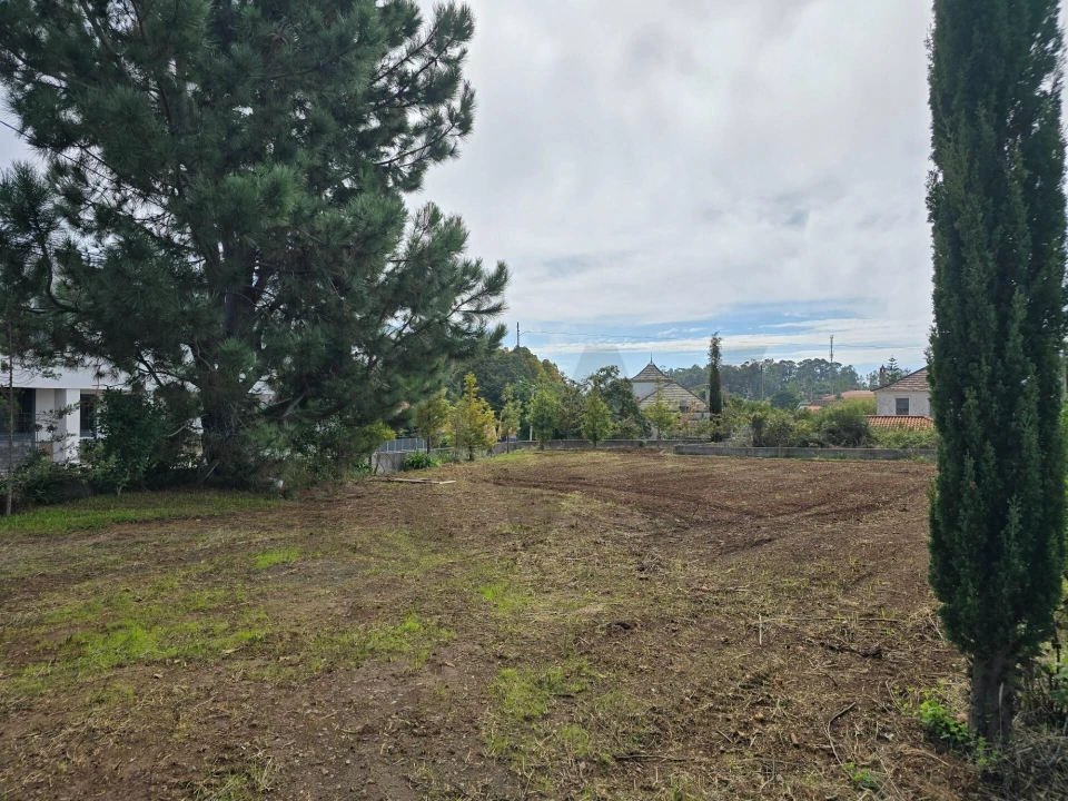Terreno para Venda em Prazeres Foto 29