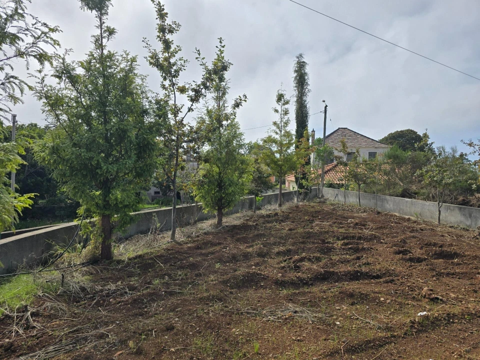Terreno para Venda em Prazeres Foto 13