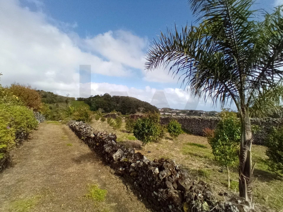 Terreno para Venda em Rosto do Cão (Livramento) Foto 30