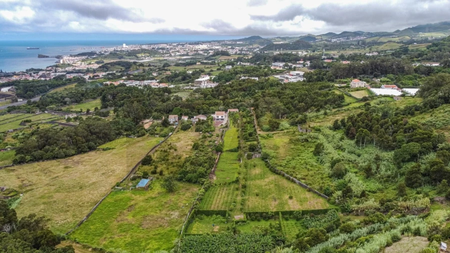 Terreno para Venda em Rosto do Cão (Livramento) Foto 20
