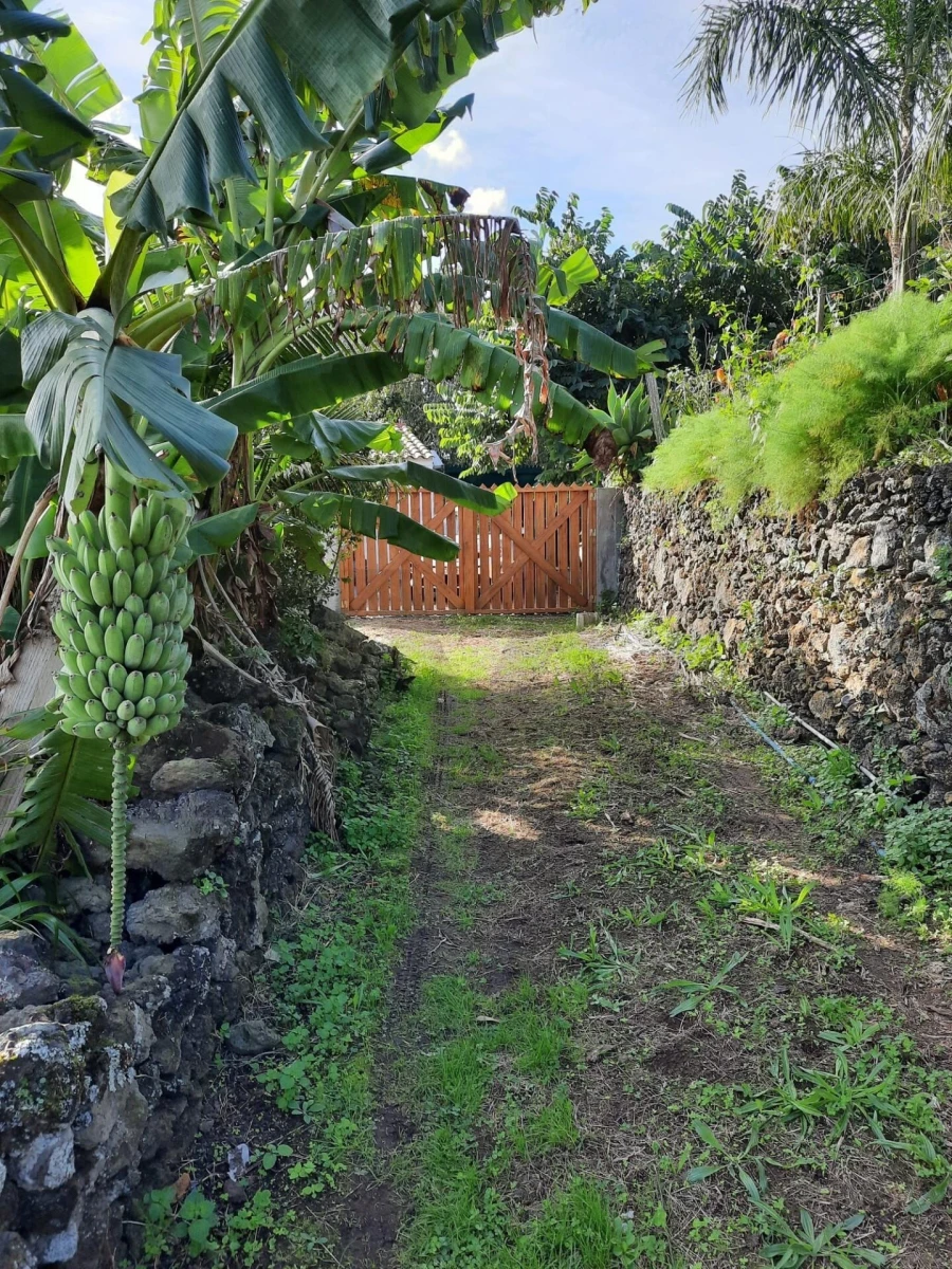 Terreno para Venda em Rosto do Cão (Livramento) Foto 29