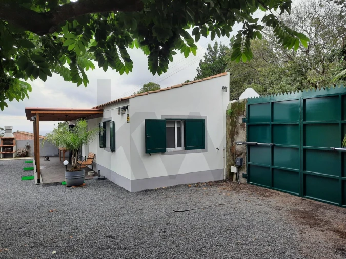 Terreno para Venda em Rosto do Cão (Livramento) Foto 12