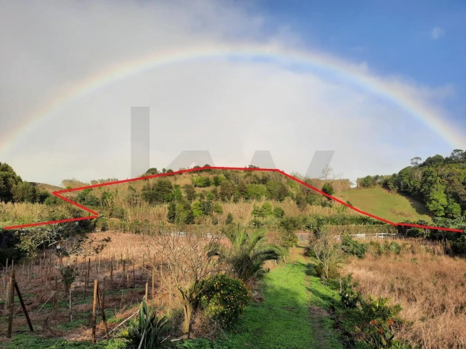 Terreno para Venda em Rosto do Cão (Livramento) Foto 31