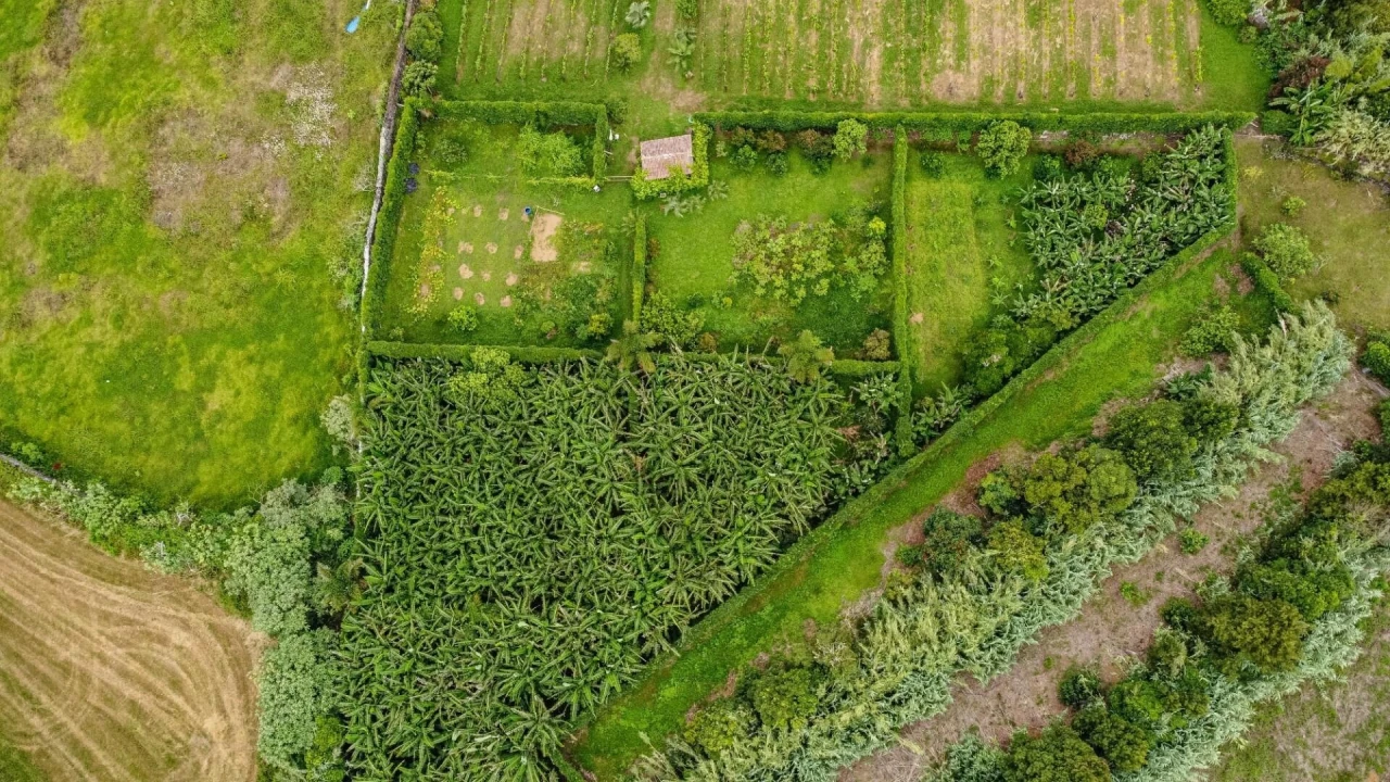 Terreno para Venda em Rosto do Cão (Livramento) Foto 21