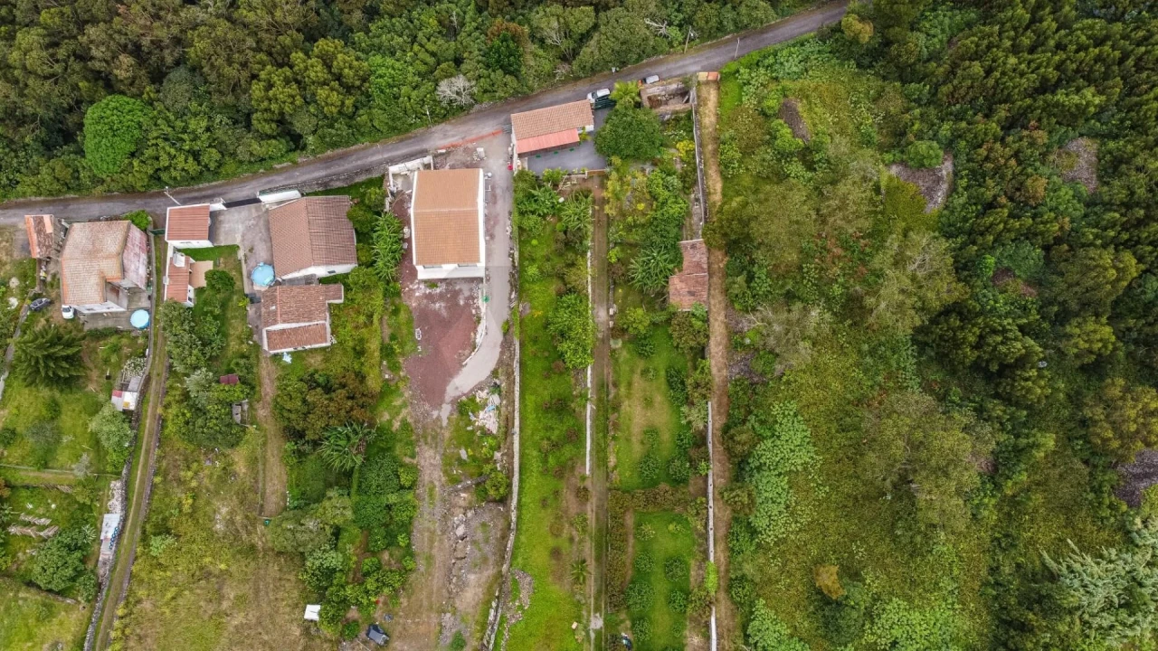 Terreno para Venda em Rosto do Cão (Livramento) Foto 24