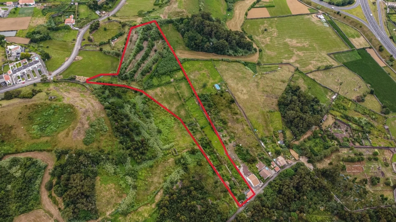 Terreno para Venda em Rosto do Cão (Livramento) Foto 16