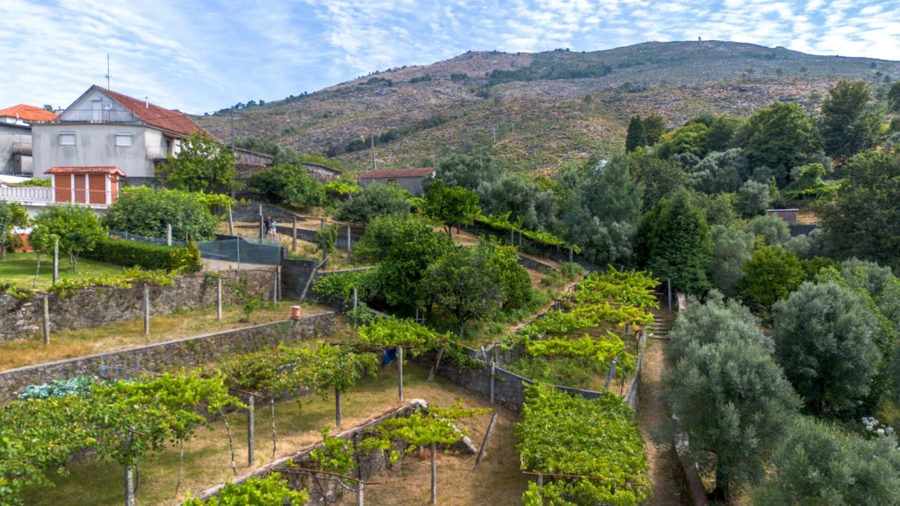Terreno para Venda em Montaria Foto 24