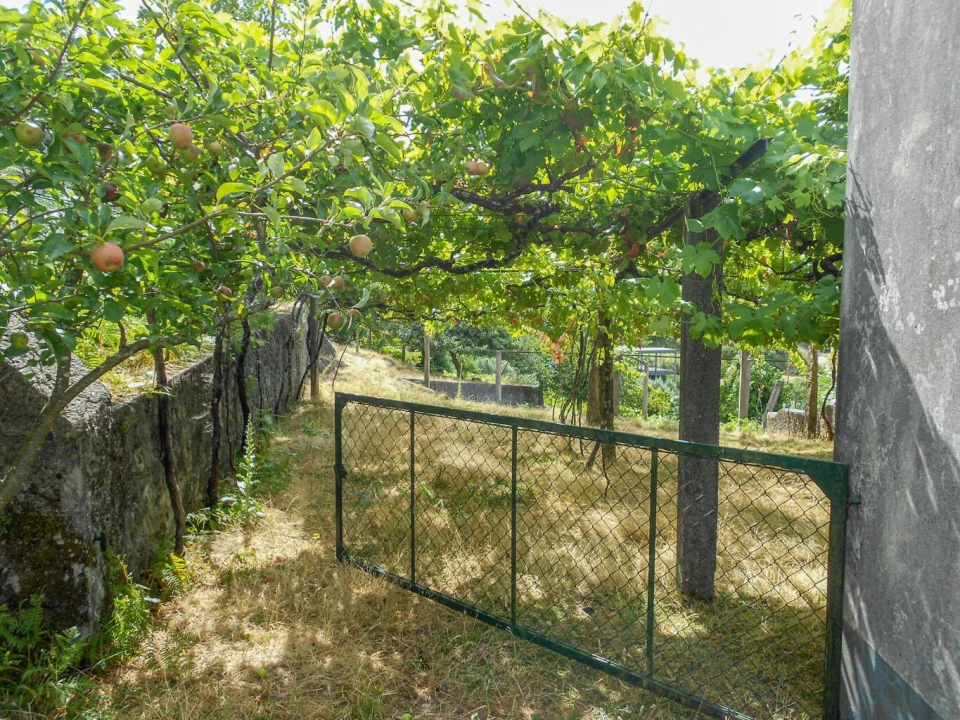 Terreno para Venda em Montaria Foto 26