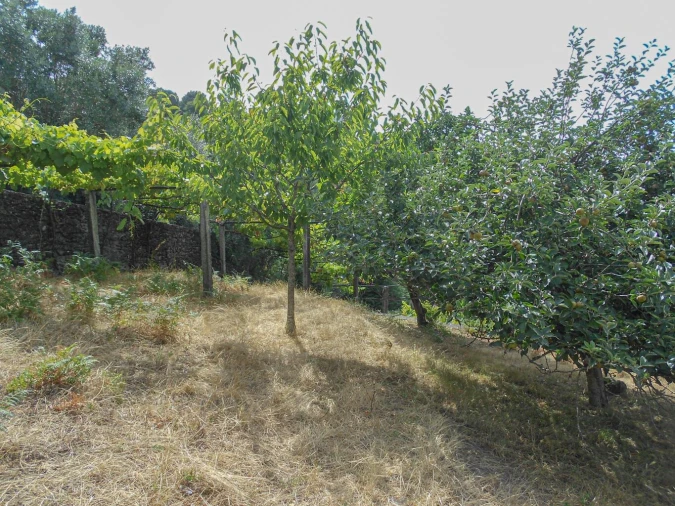 Terreno para Venda em Montaria Foto 11