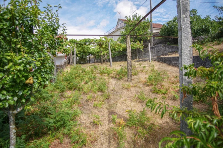 Terreno para Venda em Montaria Foto 15