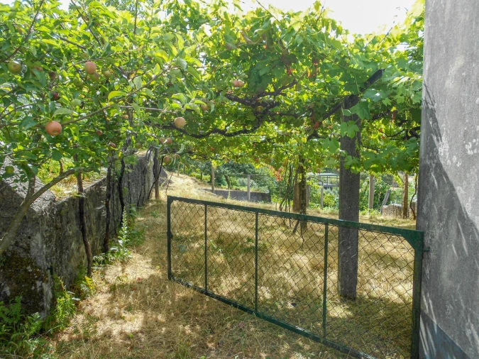 Terreno para Venda em Montaria Foto 26