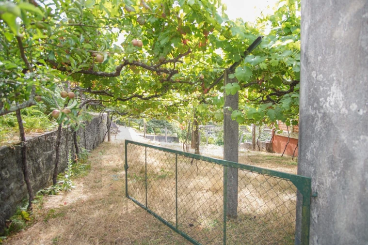 Terreno para Venda em Montaria Foto 12