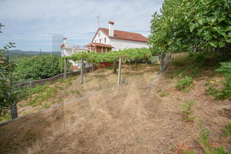 Terreno para Venda em Montaria Foto 4