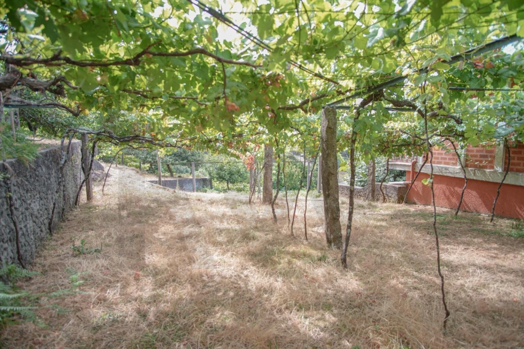 Terreno para Venda em Montaria Foto 8