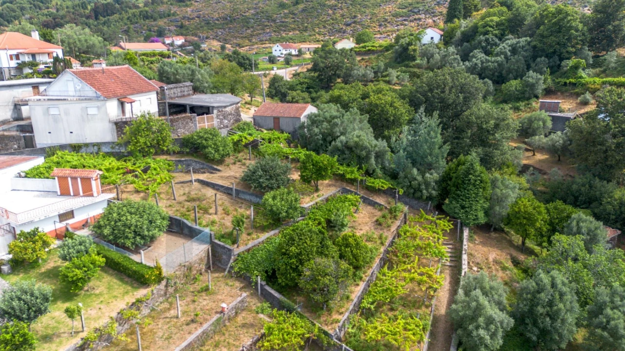 Terreno para Venda em Montaria Foto 9