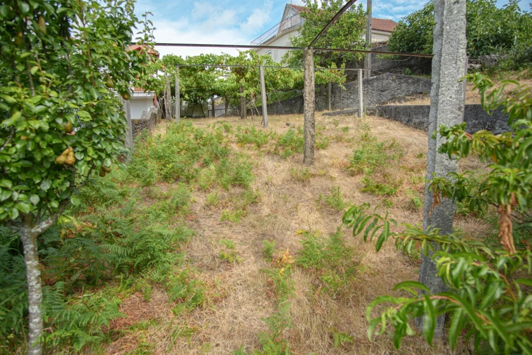 Terreno para Venda em Montaria Foto 10