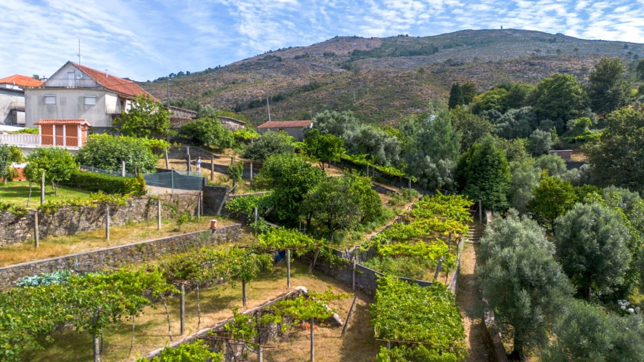 Terreno para Venda em Montaria Foto 1