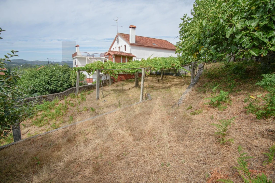 Terreno para Venda em Montaria Foto 4