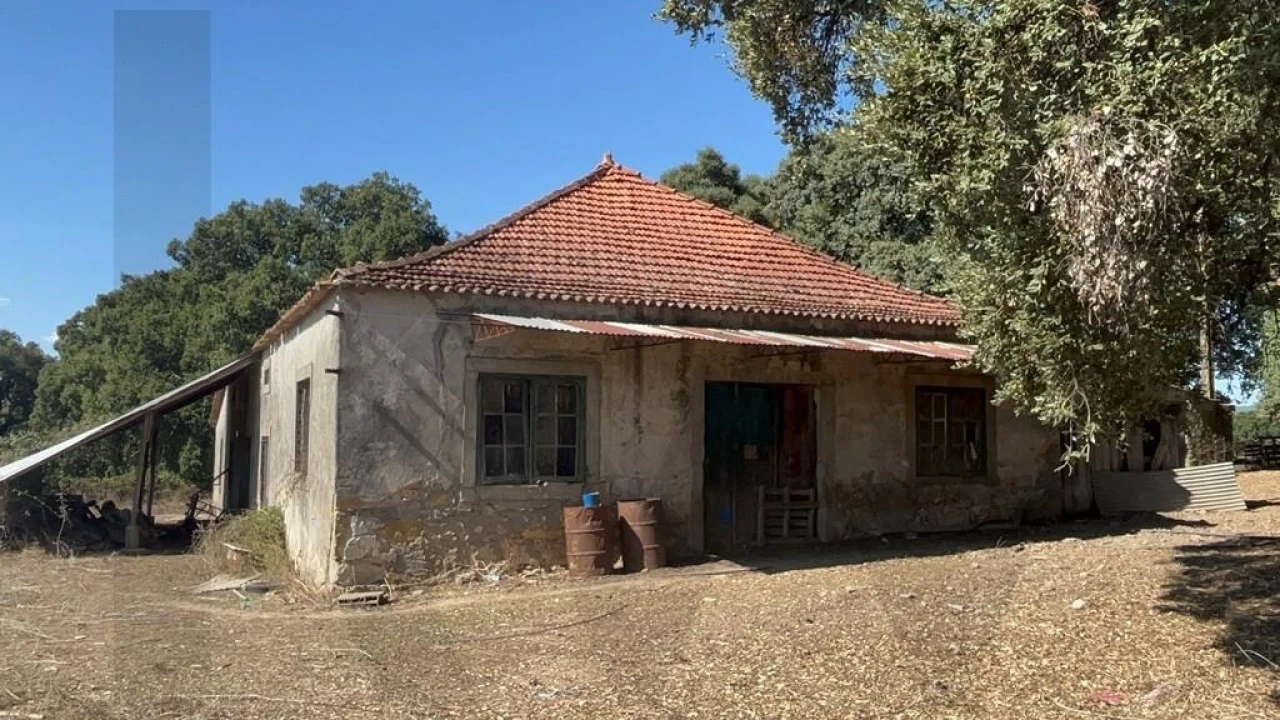 Terreno para Venda em Pedrogão Grande Foto 9
