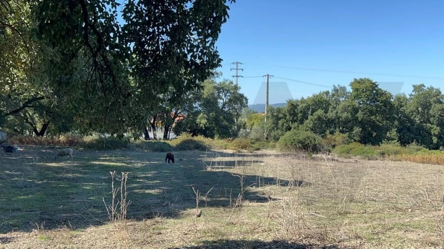 Terreno para Venda em Pedrogão Grande Foto 22