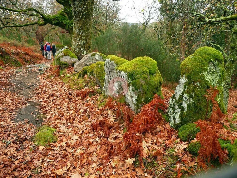 Terreno para Venda em Moreira Foto 12