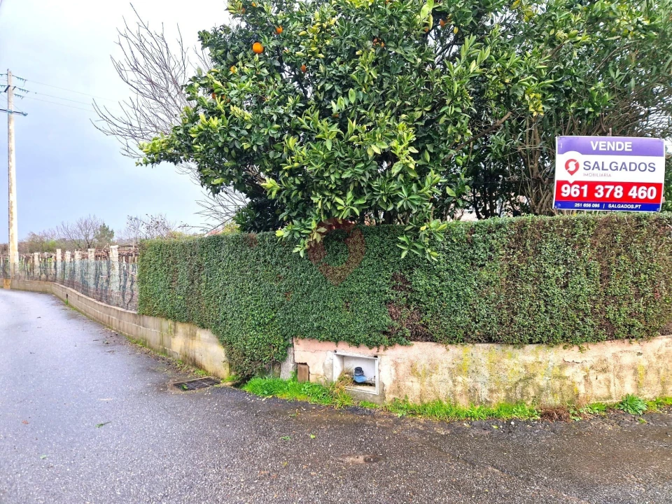 Terreno para Venda em Moreira Foto 2