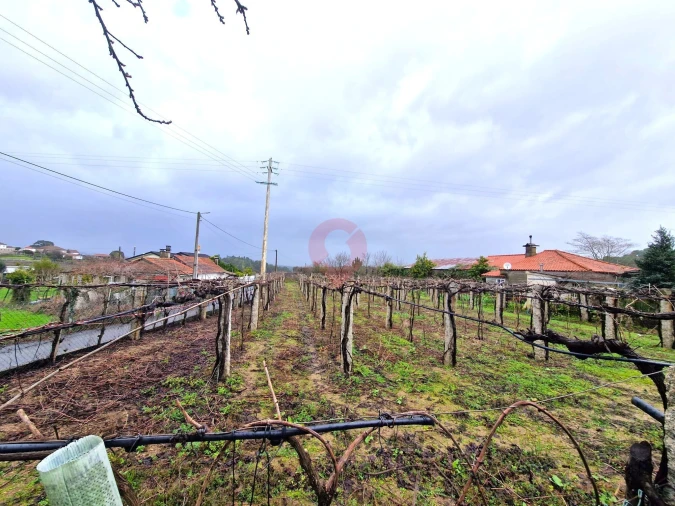 Terreno para Venda em Moreira