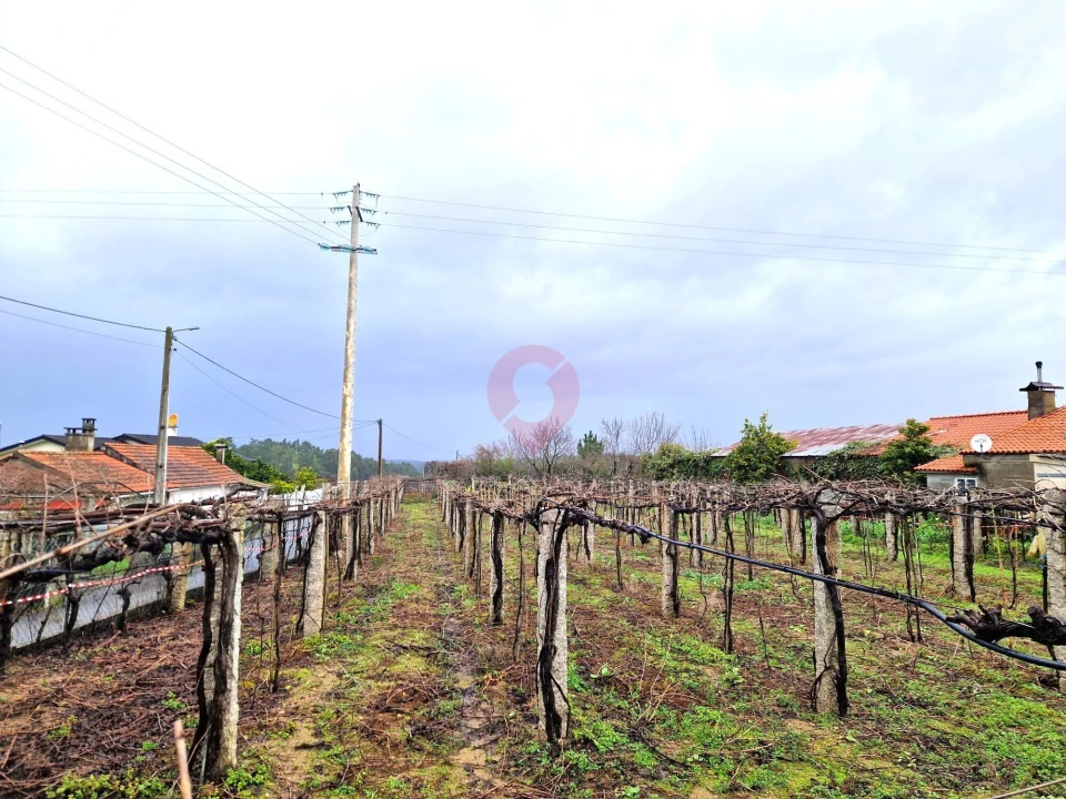 Terreno para Venda em Moreira Foto 10