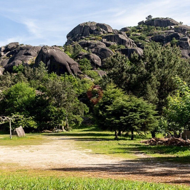 Terreno para Venda em Moreira Foto 11