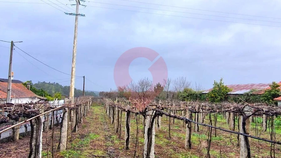 Terreno para Venda em Moreira