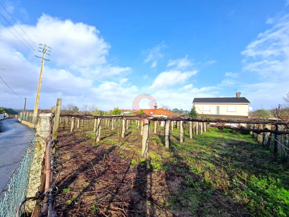 Terreno para Venda em Moreira Foto 3