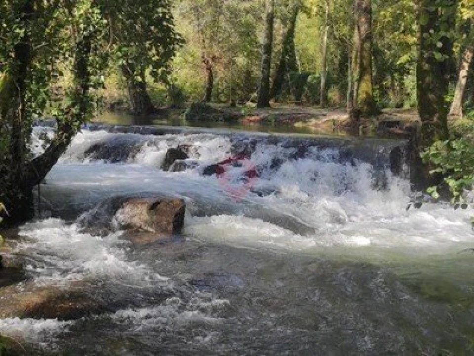 Terreno para Venda em Moreira Foto 13