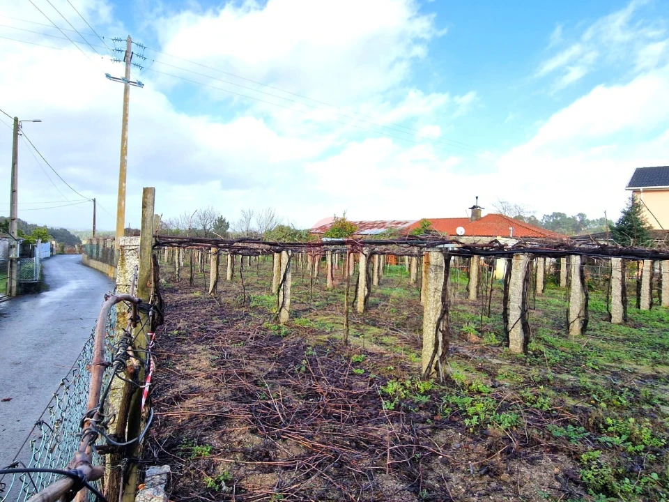 Terreno para Venda em Moreira Foto 5
