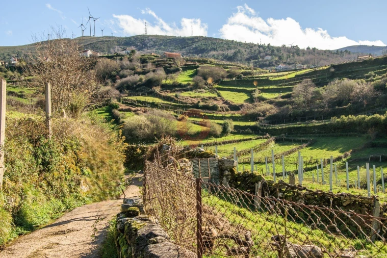 Moradia T2 para Venda em Podame Foto 11