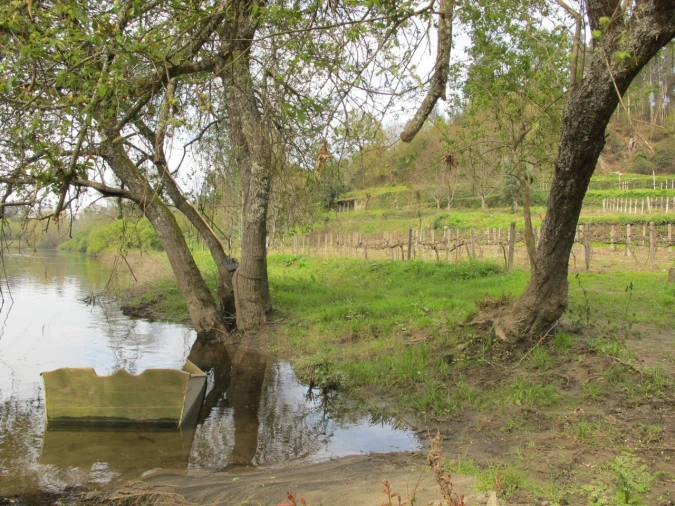 Terreno para Venda em Távora (Santa Maria e São Vicente)