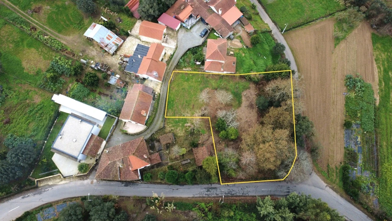 Terreno para Venda em Feitosa Foto 3