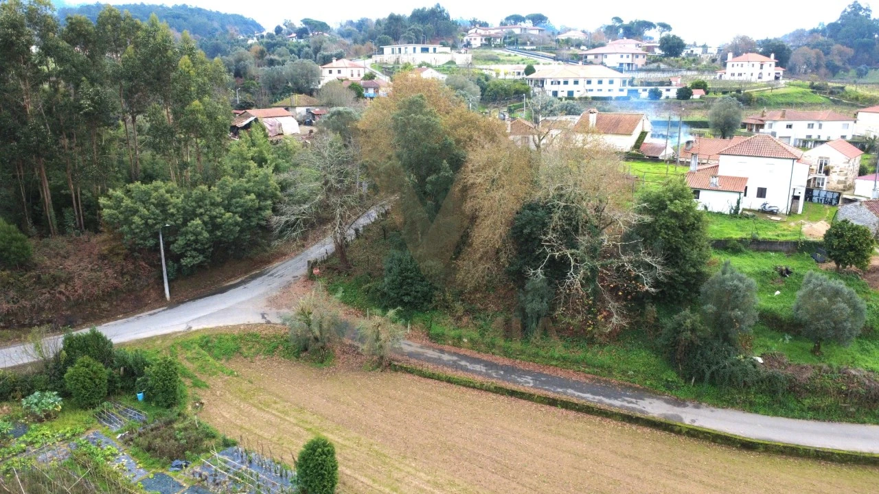 Terreno para Venda em Feitosa Foto 5