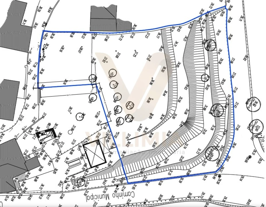 Terreno para Venda em Feitosa Foto 10
