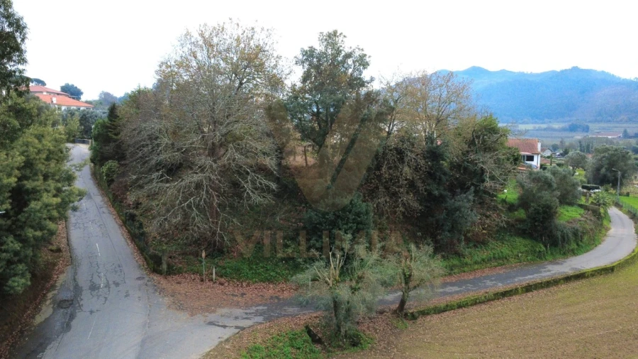 Terreno para Venda em Feitosa Foto 2