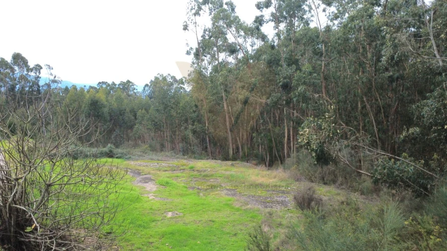 Terreno para Venda em Refoios do Lima Foto 4
