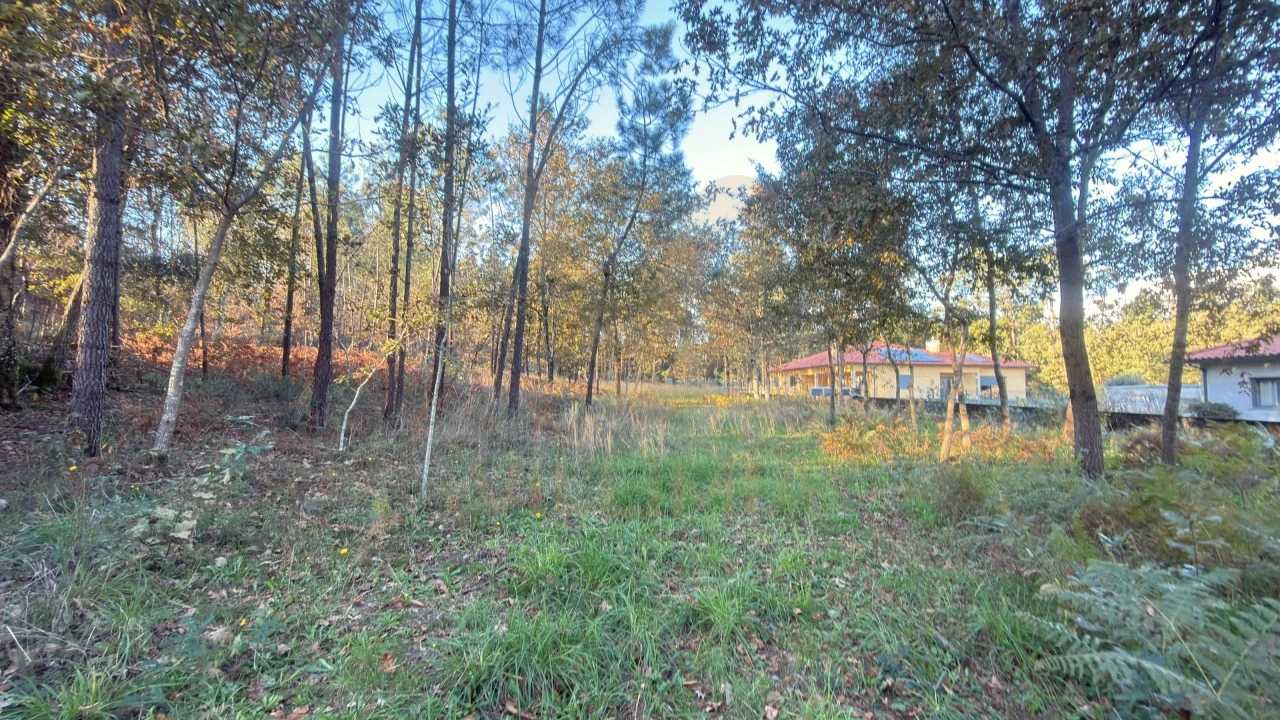 Terreno para Venda em São Pedro de Arcos Foto 5