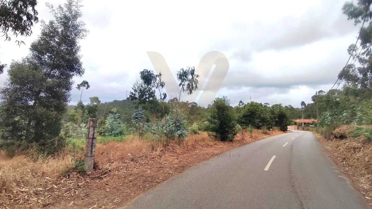 Terreno para Venda em Poiares Foto 1