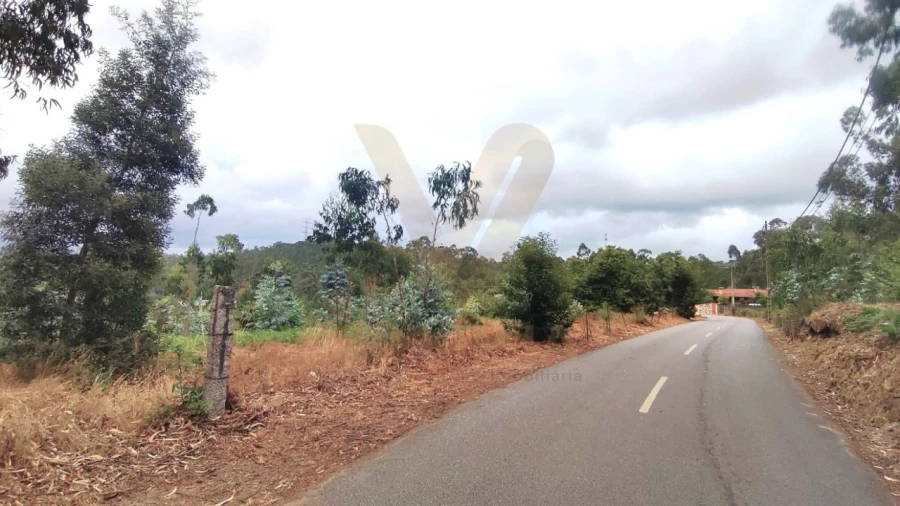 Terreno para Venda em Poiares Foto 1