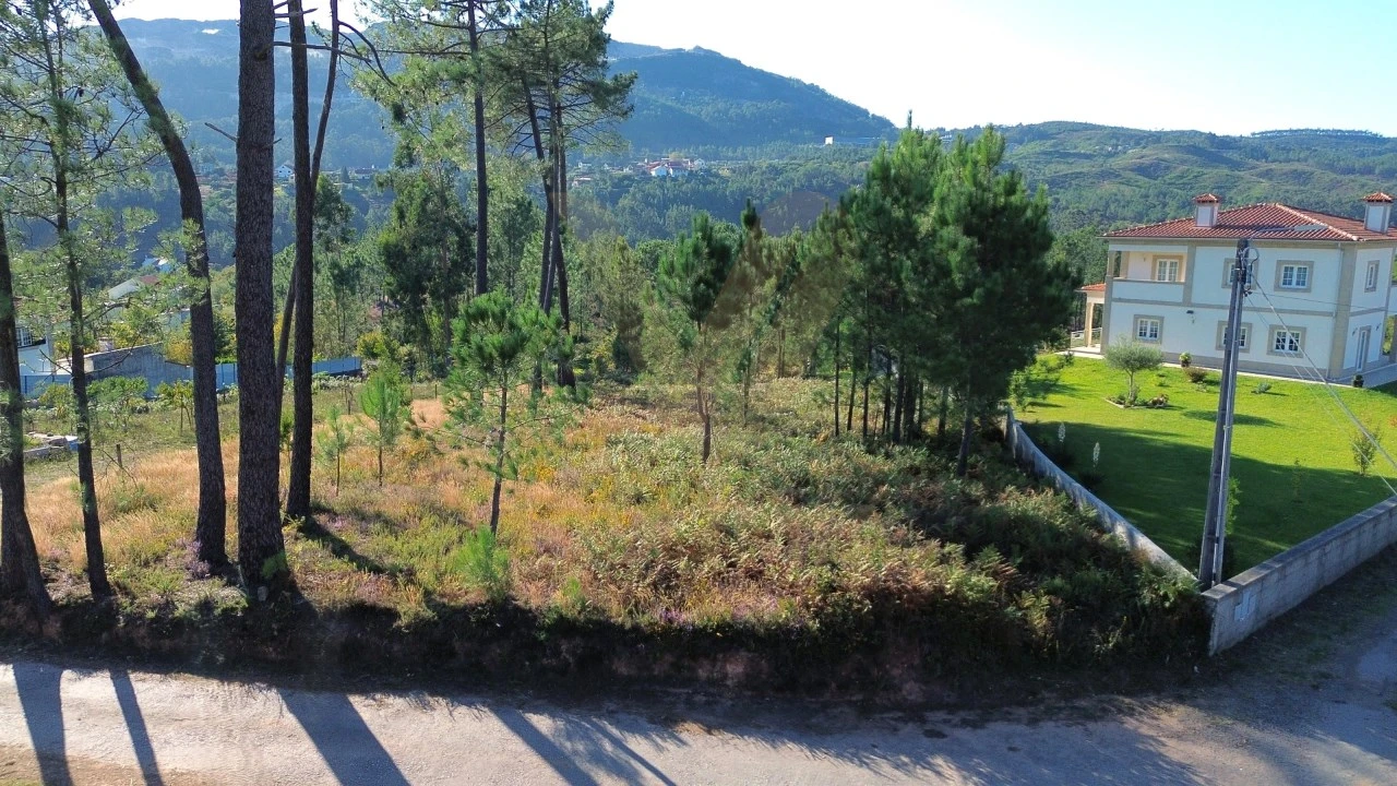 Terreno para Venda em Calheiros Foto 8