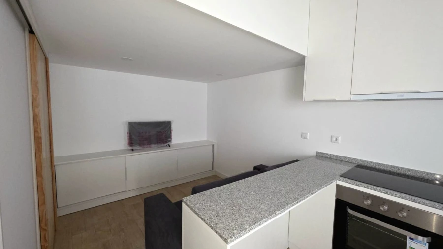 Moradia T1 para Arrendamento em Santa Marinha e São Pedro da Afurada Foto 10