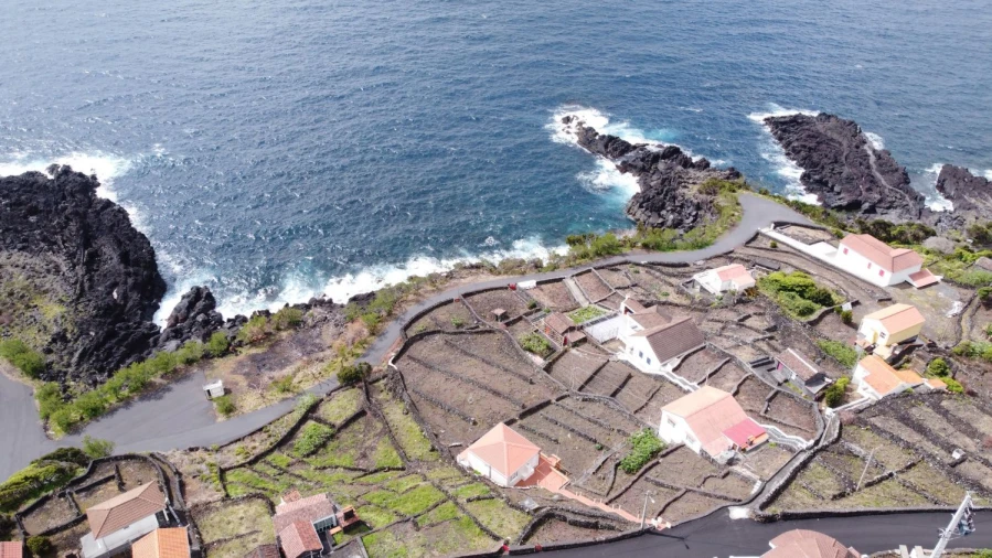 Moradia T1 para Venda em Lajes do Pico Foto 11