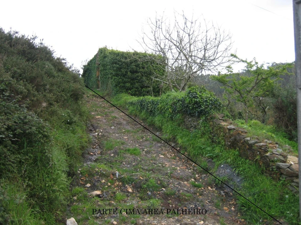 Terreno Agricola ou Rústico para Venda em Travassô e Óis da Ribeira Foto 1