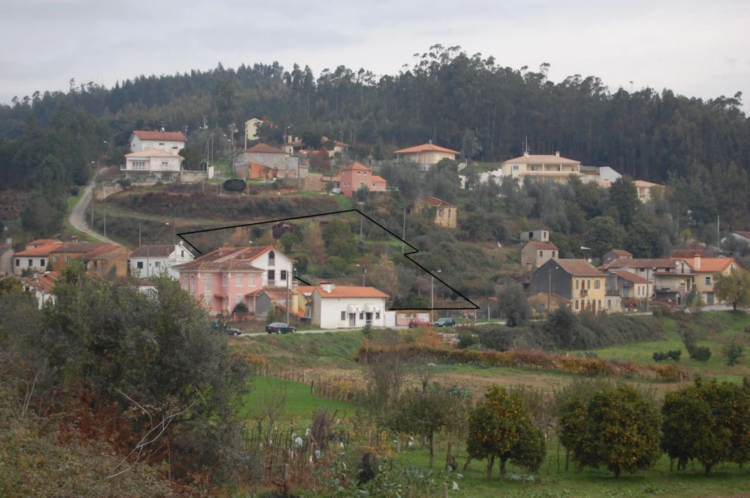 Terreno Agricola ou Rústico para Venda em Travassô e Óis da Ribeira Foto 3