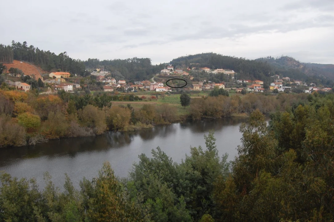 Terreno Agricola ou Rústico para Venda em Travassô e Óis da Ribeira Foto 4